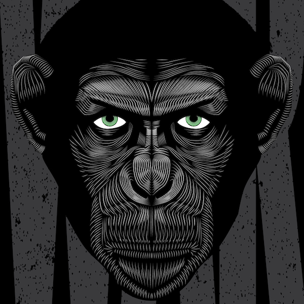 Second Life Marketplace - Chimpanzee Monkey Head - Mesh - Monkeymo