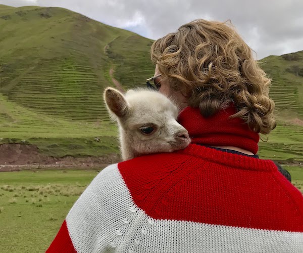 Campo Alpaca: Changing the World, One Stitch at a Time